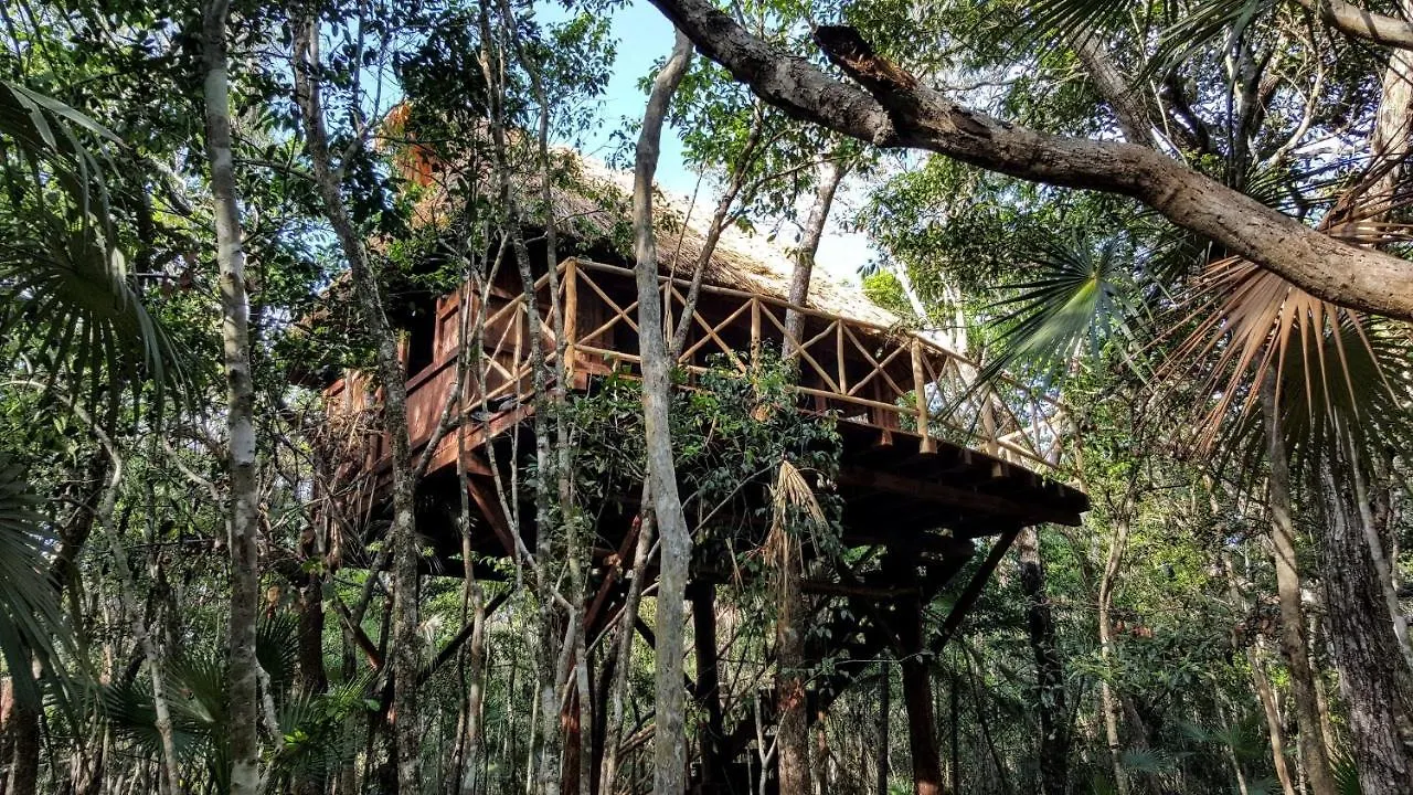 Ajal Tulum Tree House Hotel Meksyk